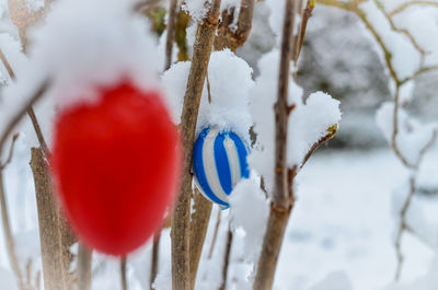 Close-up of ice cream against trees