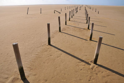 Wooden posts on beach