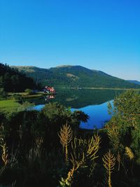 Scenic view of lake against clear blue sky