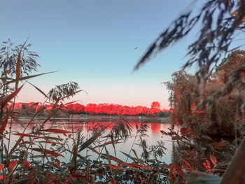Scenic view of lake against clear sky