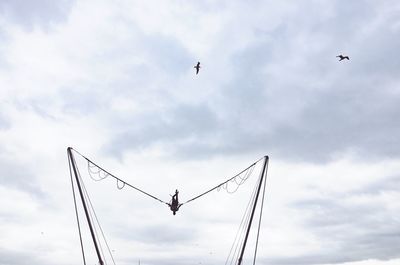 Low angle view of birds flying against sky