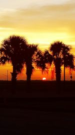 Silhouette of trees at sunset