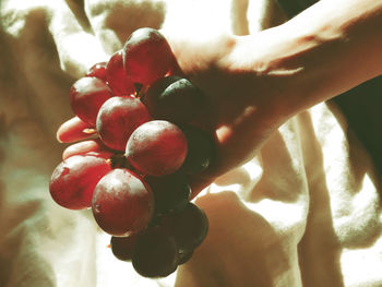 Close-up of berries growing on tree