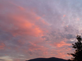 Low angle view of silhouette trees against dramatic sky