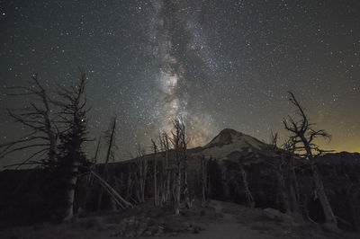 Low angle view of trees by mountain against sky at night