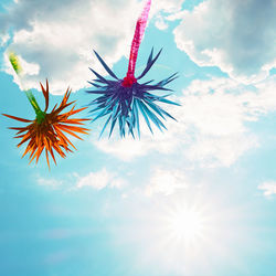 Low angle view of flowering plant against sky on sunny day