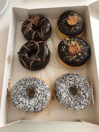 High angle view of cupcakes in plate