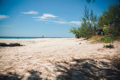 Scenic view of beach against sky