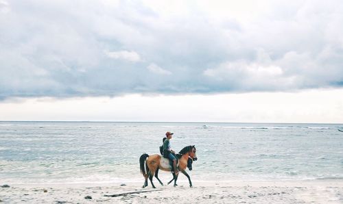 Man riding horse on shore at beach