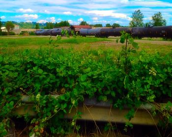 Scenic view of field against cloudy sky