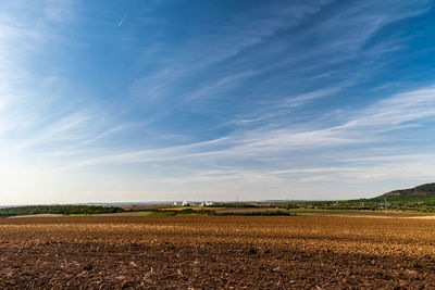 Scenic view of agricultural field against sky