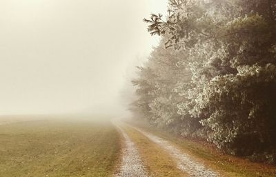 Empty road in foggy weather