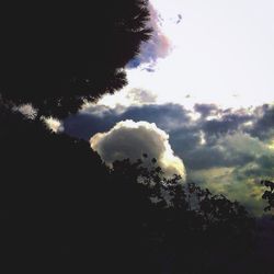 silhouette