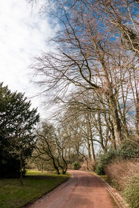 Road amidst trees against sky