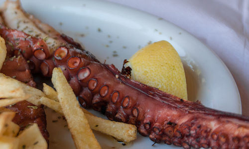 Close-up of roasted octopus in plate