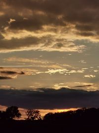 Low angle view of silhouette trees against sky during sunset