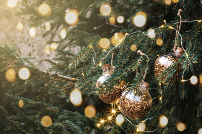 Close-up of illuminated christmas tree