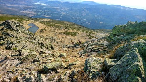 Aerial view of rocky mountains