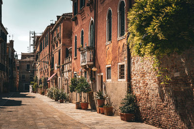 Buildings with potted plants in venice. charming facade with shutters. paved sidewalk