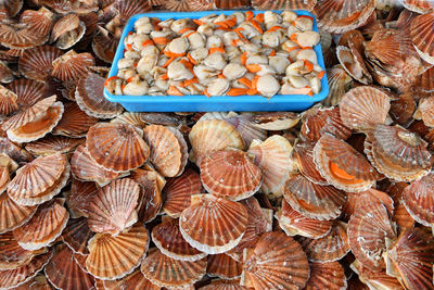 High angle view of food for sale