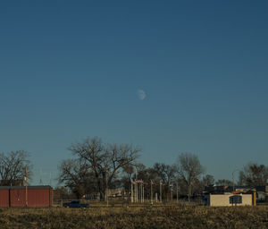 Bare trees and houses against clear blue sky