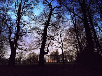 Bare trees on landscape