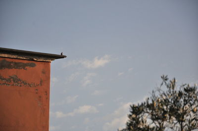 Low angle view of bird on building against sky