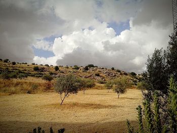 Scenic view of field against cloudy sky