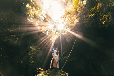 Sunlight streaming through trees in forest