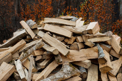 Close-up of firewood