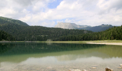 Black lake,.glacial lake located on the mount durmitor within the durmitor national park, montenegro