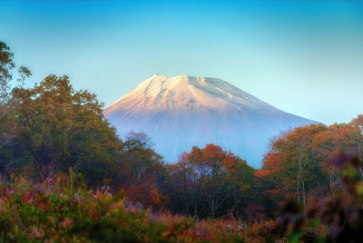 Scenic view of trees and mountain against sky