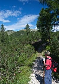 Rear view of man standing by tree against sky