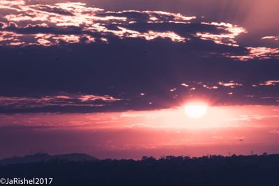 Silhouette trees against sky during sunset