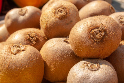 Close-up of pumpkins