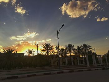 Silhouette palm trees against sky during sunset