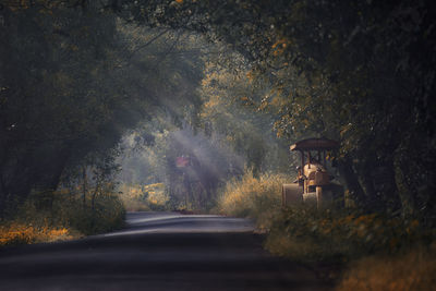 Road amidst trees seen through car windshield