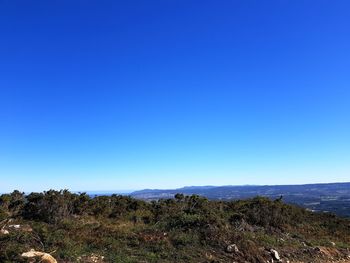 Scenic view of landscape against clear blue sky