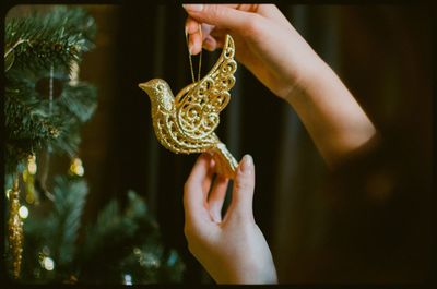 Midsection of woman holding christmas tree