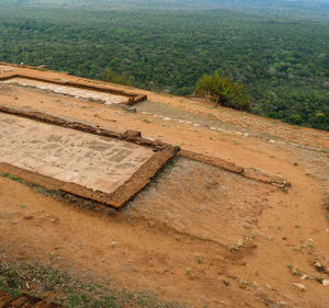 High angle view of trees on field