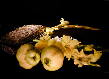 Close-up of yellow flowers against black background