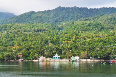 Scenic view of lake in forest