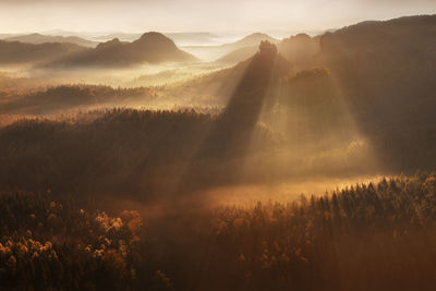 Sunlight streaming through trees on landscape during sunset