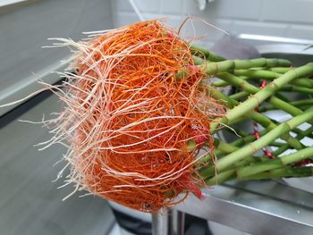 High angle view of red chili peppers in container