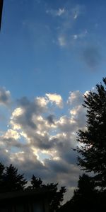 Low angle view of silhouette trees against sky