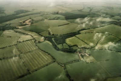 High angle view of wheat field
