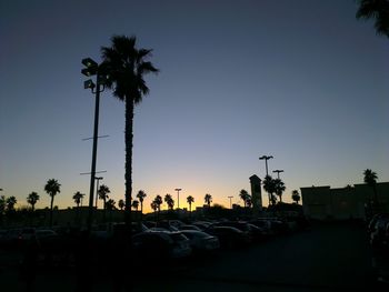 Low angle view of silhouette palm tree and lighting equipment during sunset