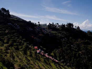 High angle view of trees and houses against sky