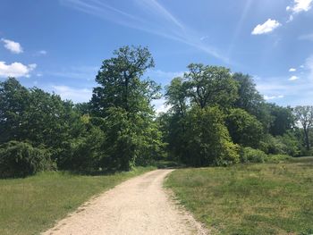 Dirt road amidst trees against sky