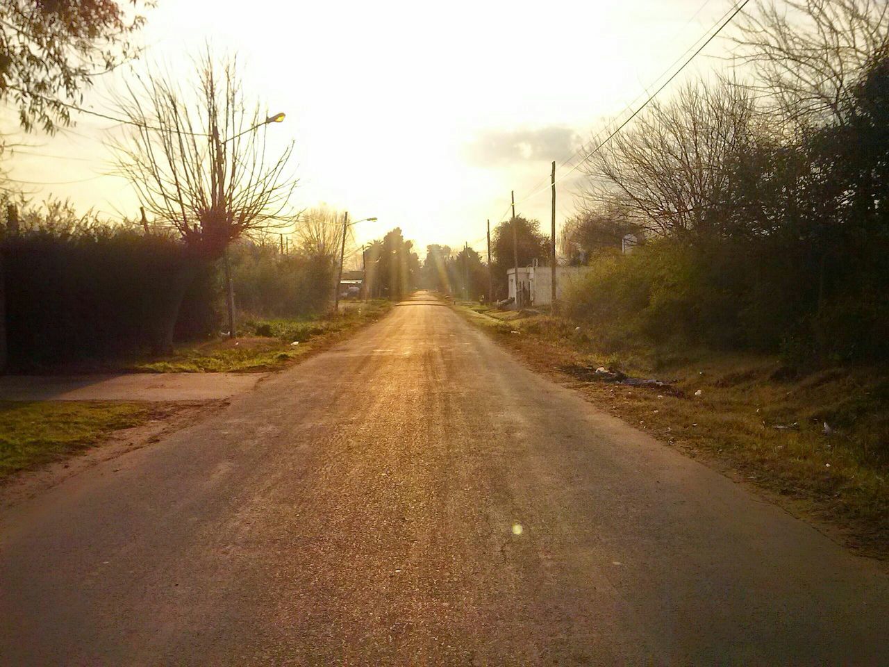 the way forward, diminishing perspective, vanishing point, transportation, sky, tree, road, sunset, empty road, long, bare tree, street, empty, tranquility, nature, country road, dirt road, outdoors, tranquil scene, building exterior